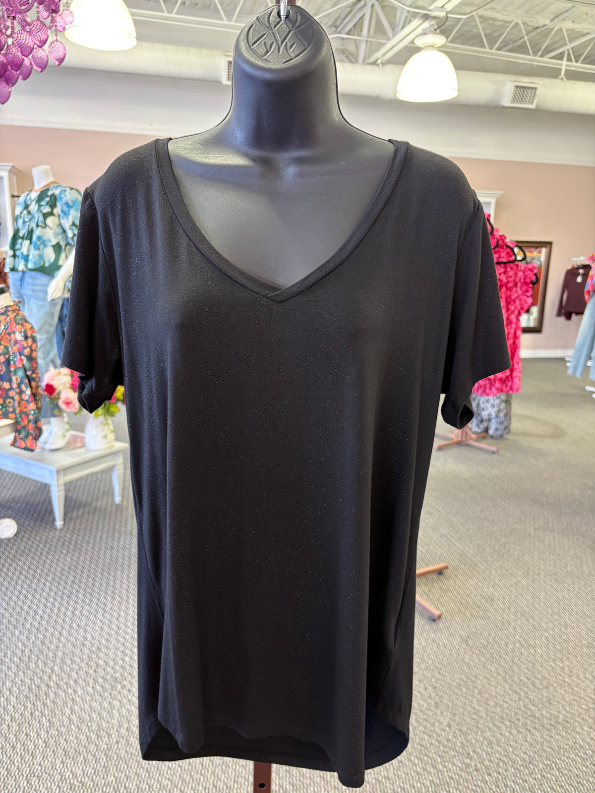 The Sloane Everyday V-Neck Tee