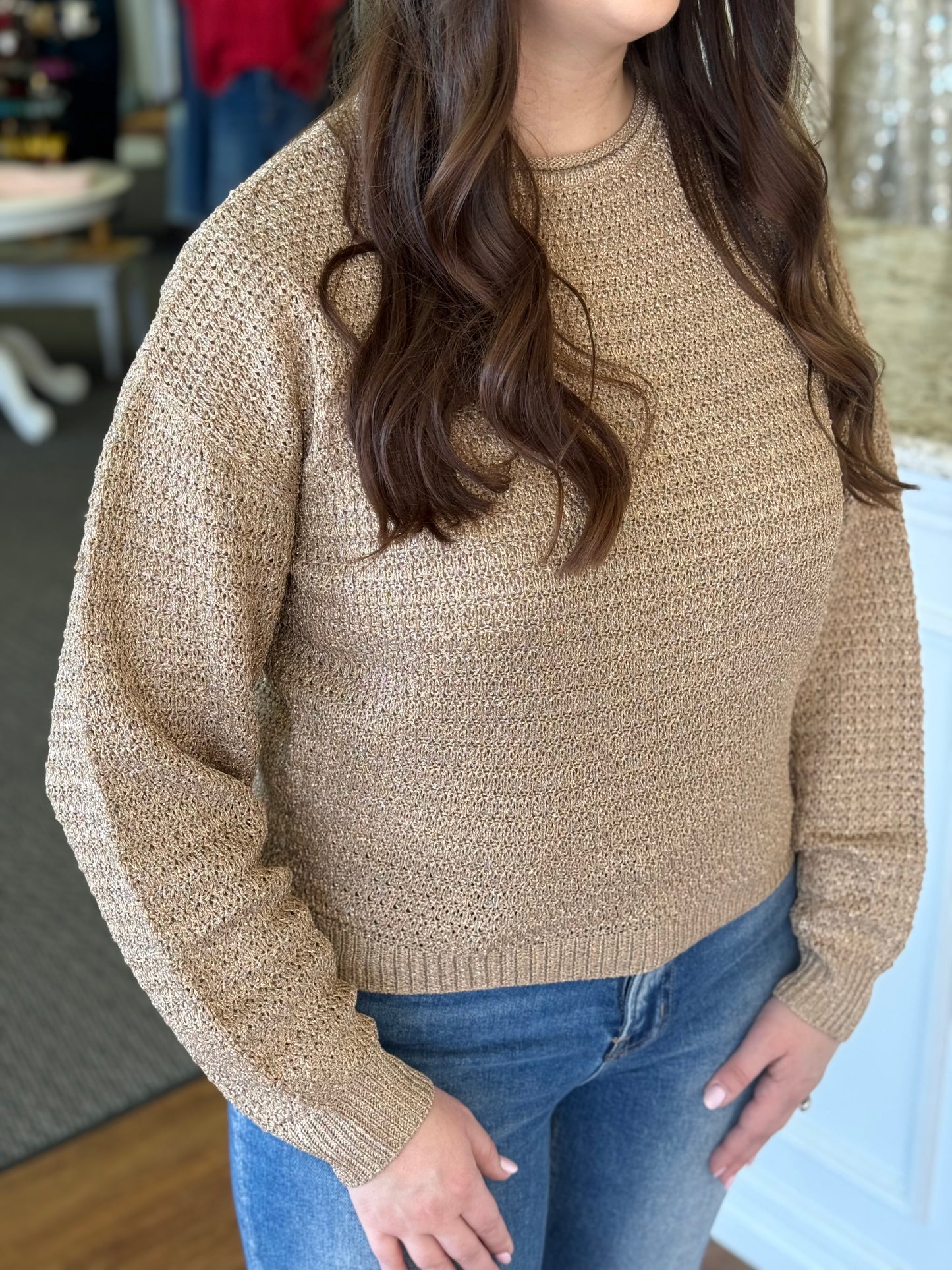 Metallic Mesh Luxe Knit Sweater